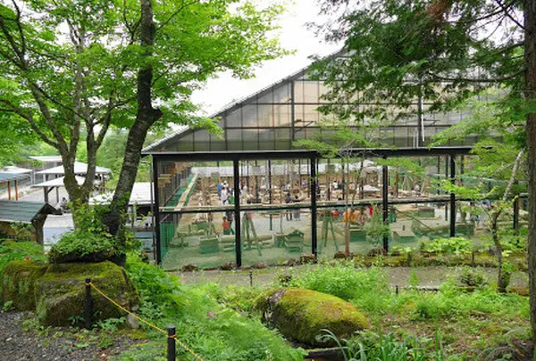 リスの森・飛騨山野草自然庭園