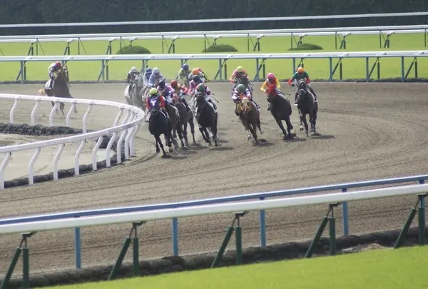 京都競馬場