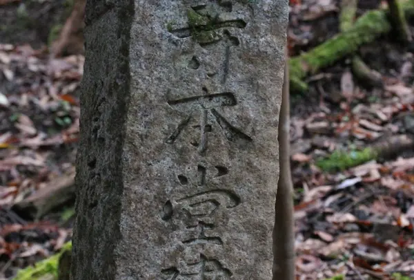 手尾の山奥