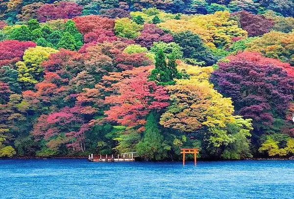 箱根 芦ノ湖遊覧船