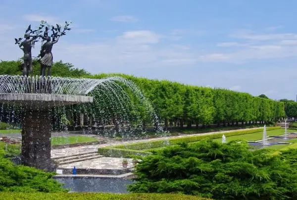 国営昭和記念公園