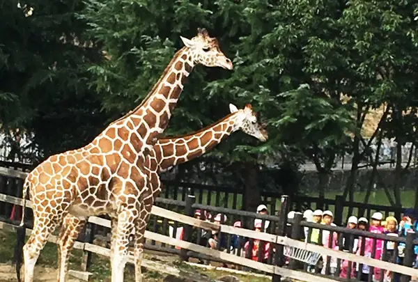 福山市立動物園