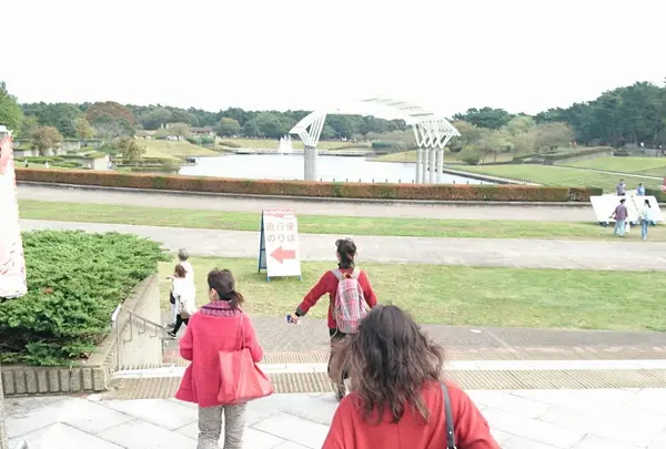 国営ひたち海浜公園の写真・動画_image_199426