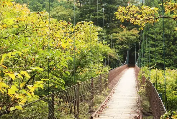 惣岳渓谷