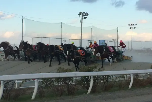 帯広競馬場（ばんえい十勝）の写真・動画_image_200348