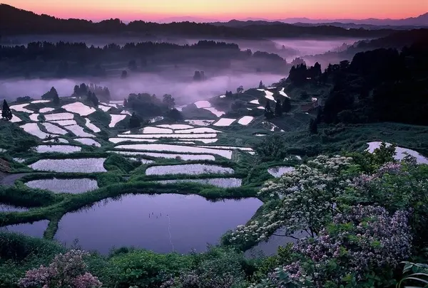 星峠の棚田