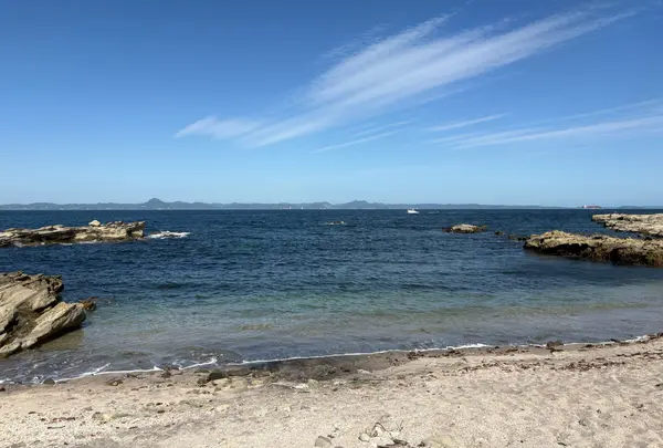 ジャンボリー浜
