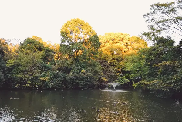 和田堀公園の写真・動画_image_201274