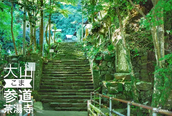 茶湯寺の写真・動画_image_201559