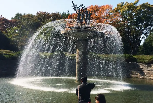 国営昭和記念公園 噴水