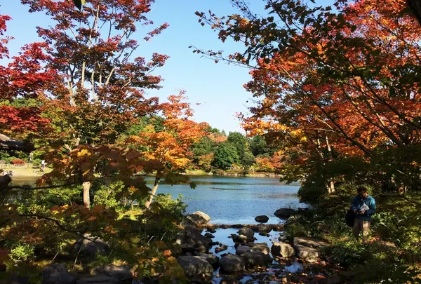 昭和記念公園 日本庭園