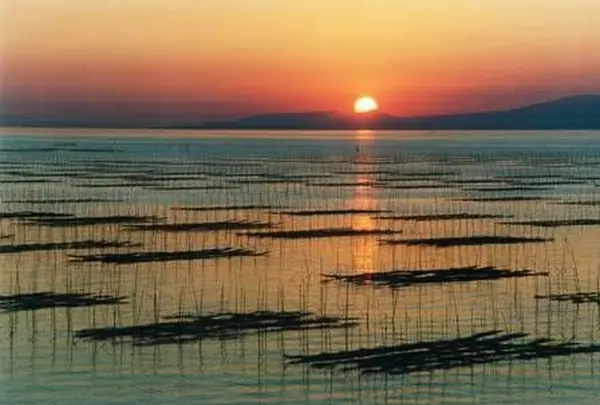 河内海岸