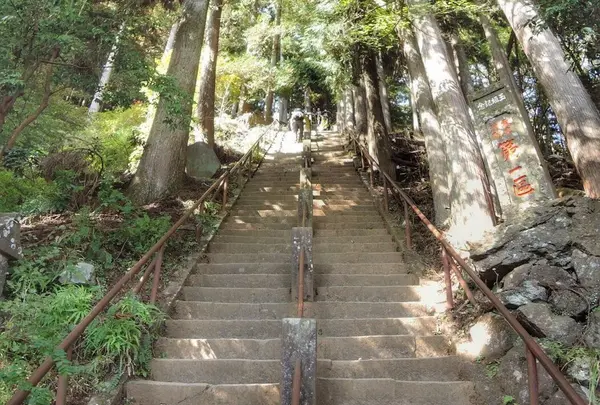 大山阿夫利神社　本社の写真・動画_image_202193