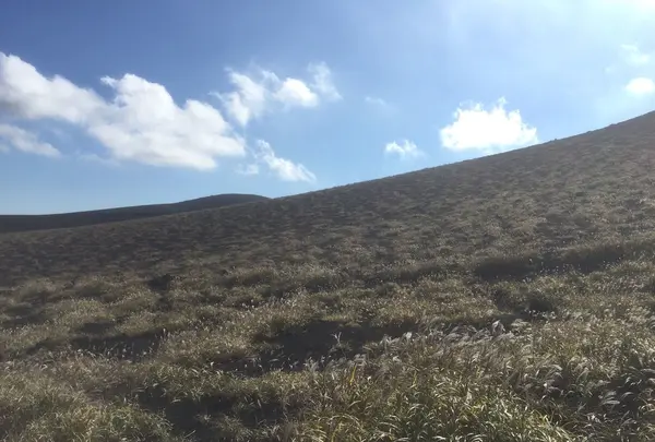 三原山ハイキングテキサスコース