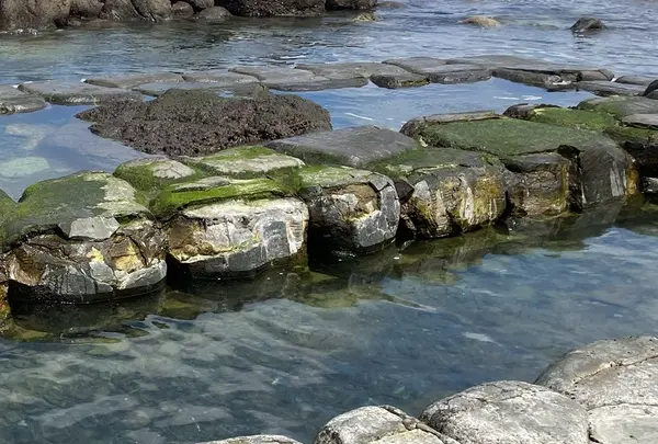 水無海浜温泉