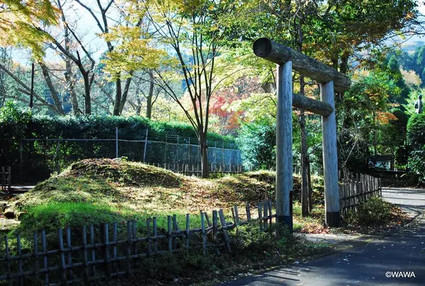 新田塚の写真・動画_image_202534