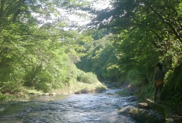 ゆうすい自然の森(旧 遊水峡キャンプ場)の写真・動画_image_202637