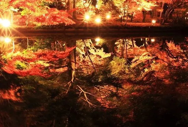 曽木公園