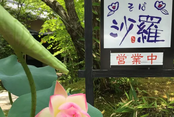 山の飯 沙羅