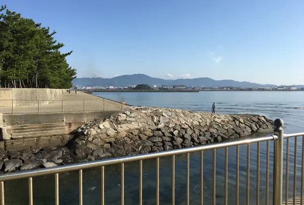 北浜 上海食苑の写真・動画_image_202833