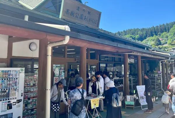 道の駅 果樹公園あしがくぼ