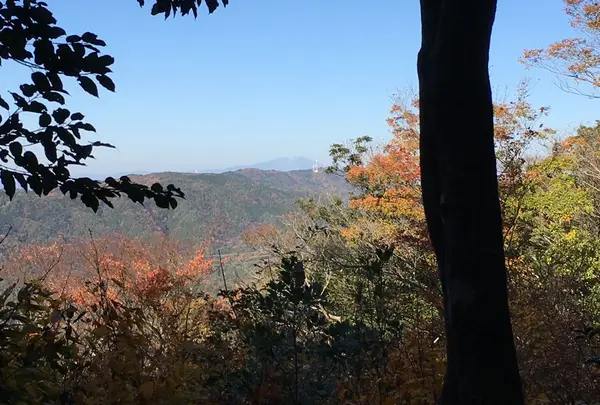 猿投山の写真・動画_image_203159