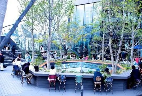 スターバックスコーヒー 東急プラザ表参道原宿店（STARBUCKS COFFEE）