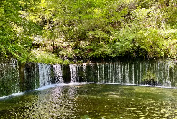 白糸の滝の写真・動画_image_2033038