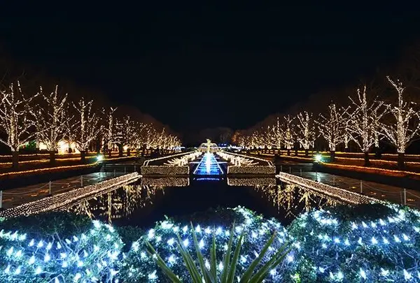 国営昭和記念公園