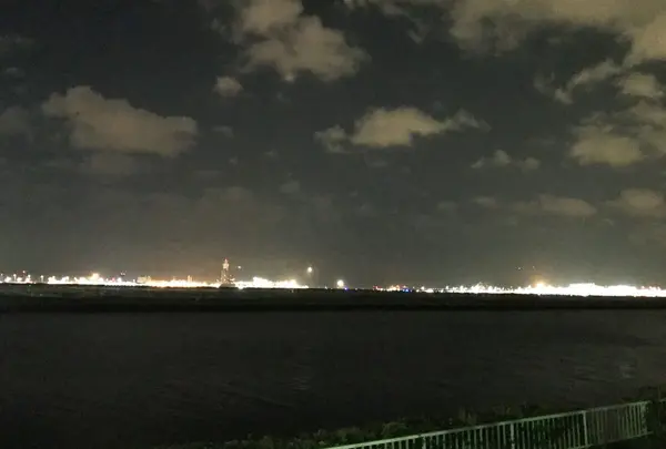 京浜島つばさ公園の写真・動画_image_203336