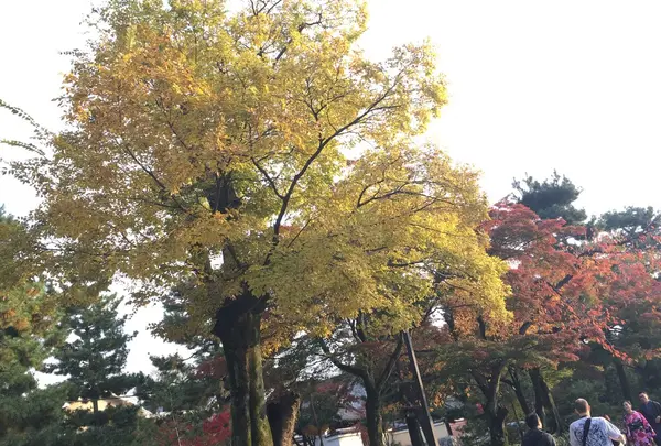 建仁寺