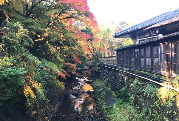 うぐいす谷温泉 竹の葉
