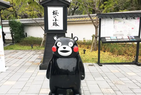 熊本城桜の小路
