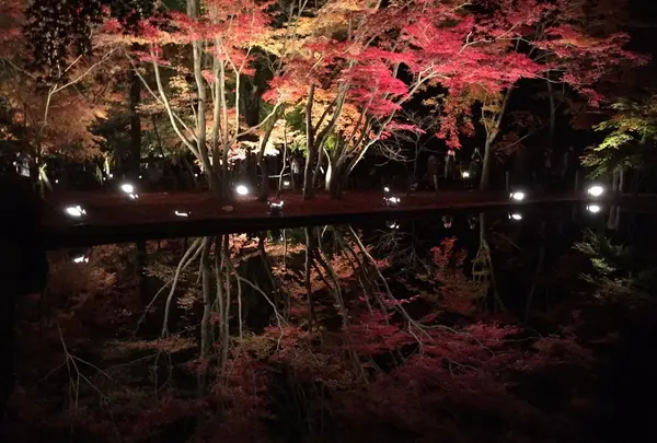 曽木公園