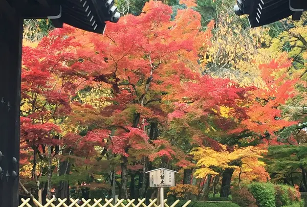 永観堂（禅林寺）