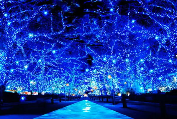 渋谷公園通り