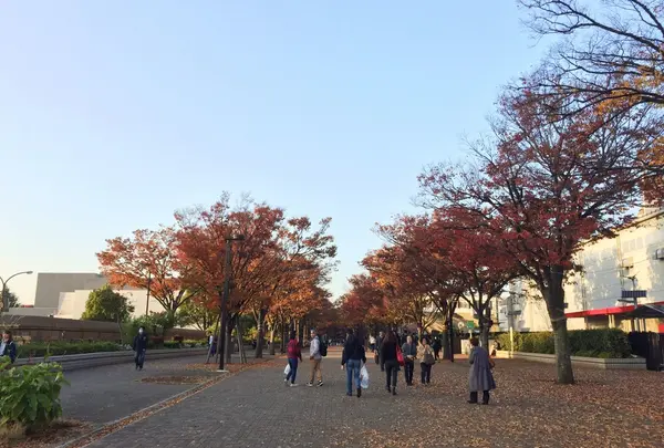 代々木公園