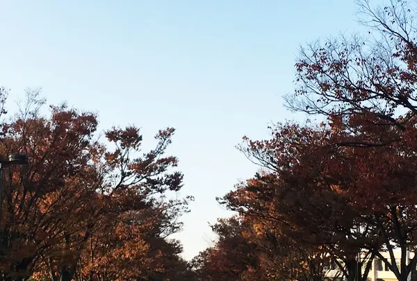 代々木公園