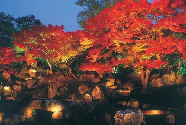 圓徳院