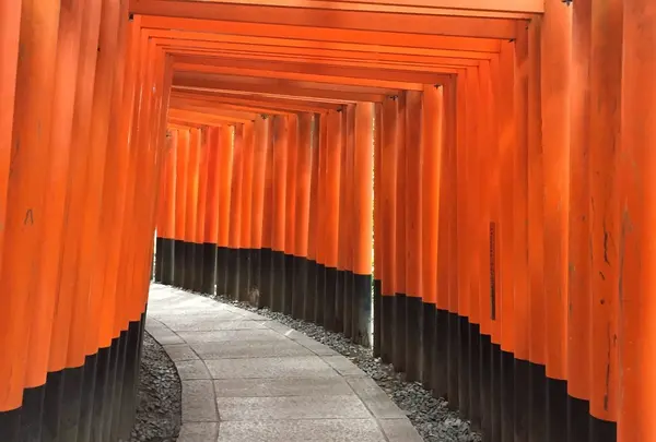千本鳥居の写真・動画_image_204517