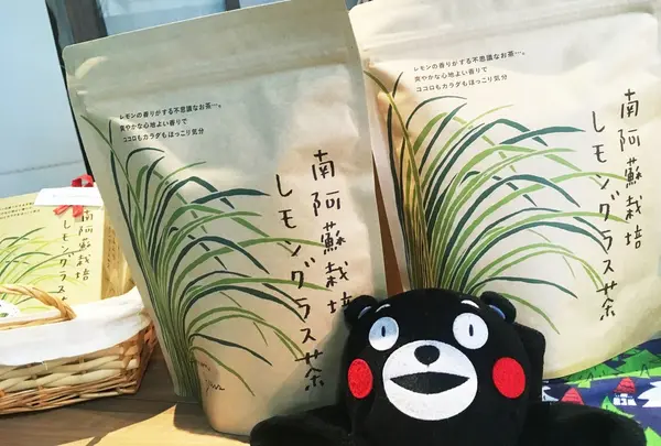 南阿蘇ティーハウス本店