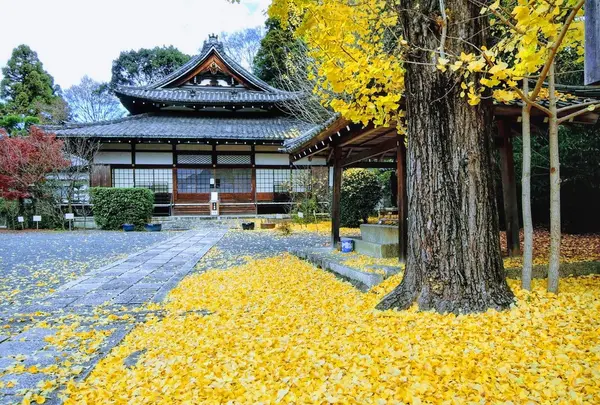 岡崎別院