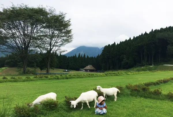 月廻り公園の写真・動画_image_204666