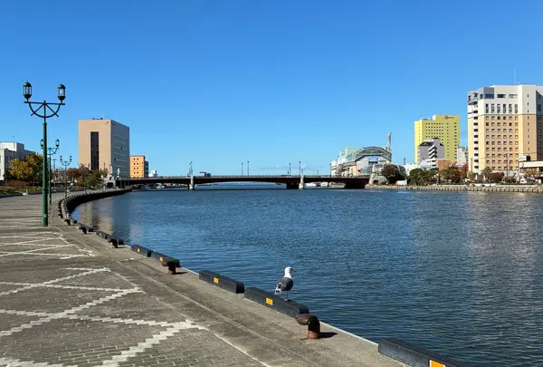 幣舞橋
