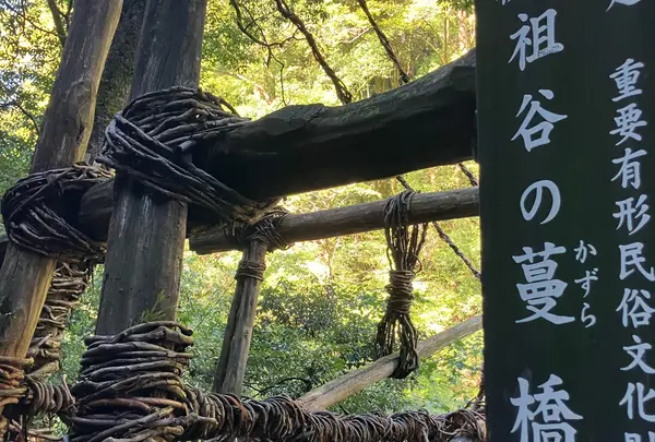 祖谷のかずら橋