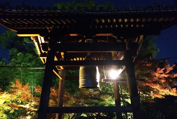 高台寺の写真・動画_image_204825