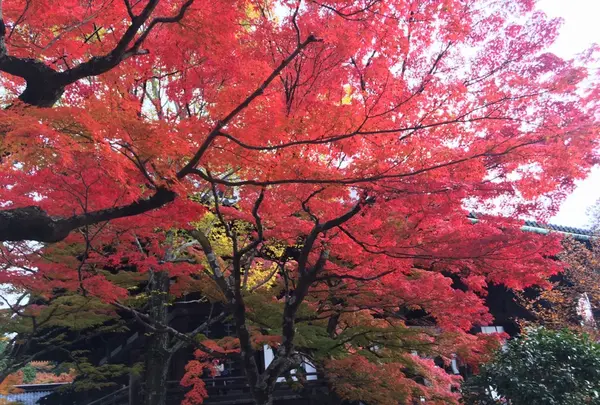 真如堂（真正極楽寺）