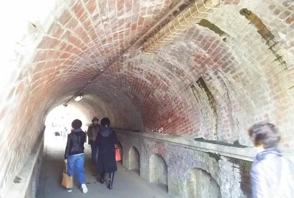 ねじりまんぽの写真・動画_image_205301