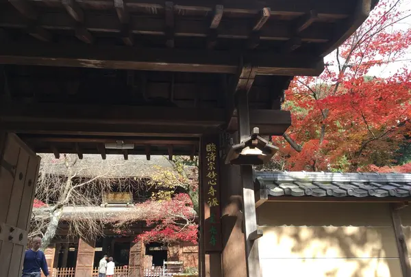 定光寺の写真・動画_image_205374