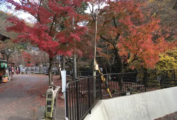 岩屋堂公園